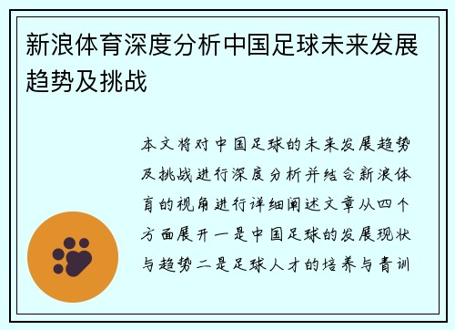 新浪体育深度分析中国足球未来发展趋势及挑战